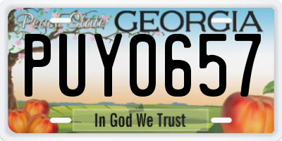 GA license plate PUY0657