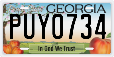 GA license plate PUY0734