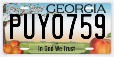 GA license plate PUY0759