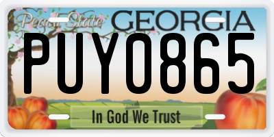 GA license plate PUY0865