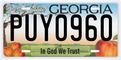 GA license plate PUY0960