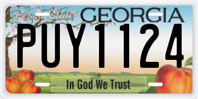 GA license plate PUY1124