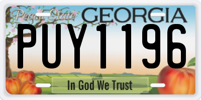 GA license plate PUY1196