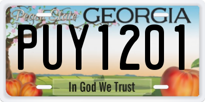 GA license plate PUY1201