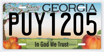 GA license plate PUY1205