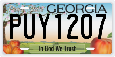 GA license plate PUY1207
