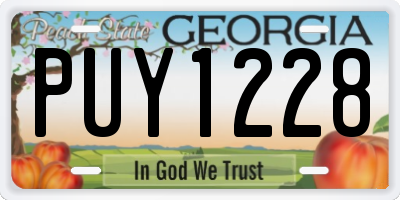 GA license plate PUY1228