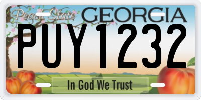 GA license plate PUY1232