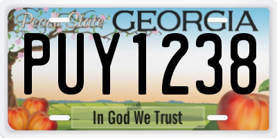 GA license plate PUY1238