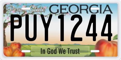 GA license plate PUY1244