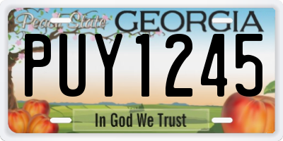 GA license plate PUY1245
