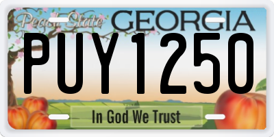 GA license plate PUY1250