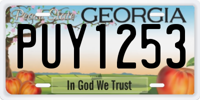 GA license plate PUY1253