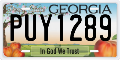 GA license plate PUY1289