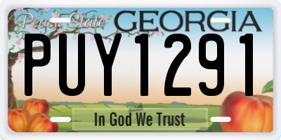 GA license plate PUY1291