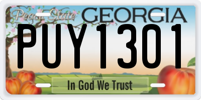 GA license plate PUY1301