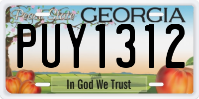 GA license plate PUY1312
