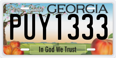 GA license plate PUY1333