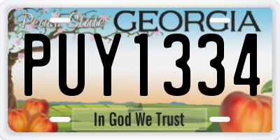 GA license plate PUY1334