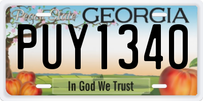 GA license plate PUY1340