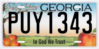 GA license plate PUY1343