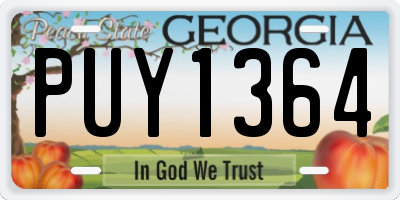 GA license plate PUY1364