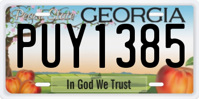 GA license plate PUY1385