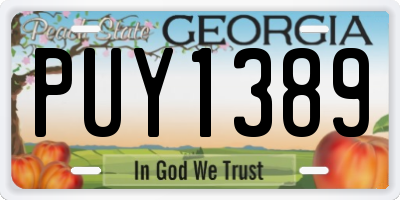 GA license plate PUY1389