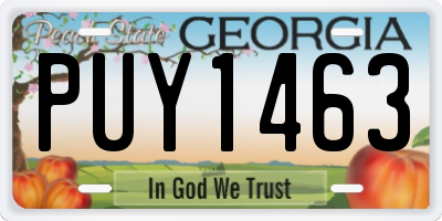 GA license plate PUY1463
