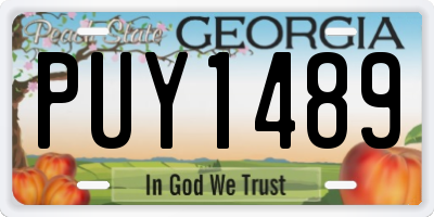 GA license plate PUY1489