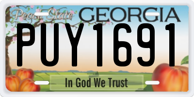 GA license plate PUY1691