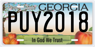 GA license plate PUY2018