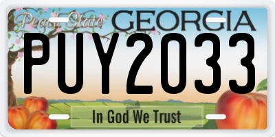 GA license plate PUY2033