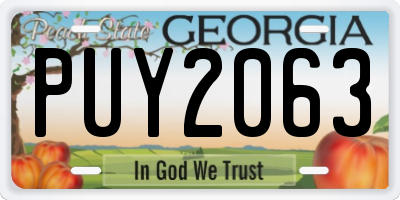 GA license plate PUY2063