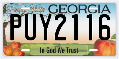 GA license plate PUY2116