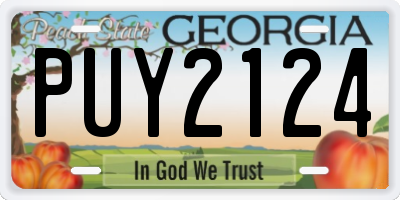 GA license plate PUY2124