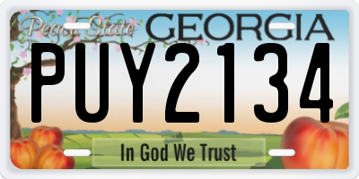 GA license plate PUY2134