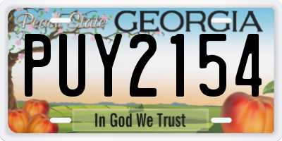 GA license plate PUY2154