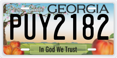 GA license plate PUY2182