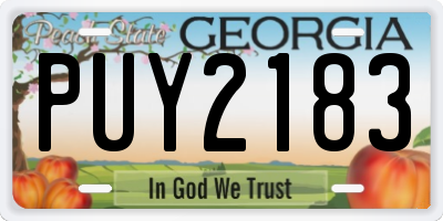 GA license plate PUY2183