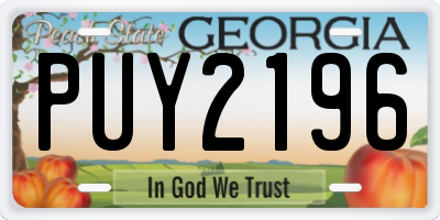 GA license plate PUY2196
