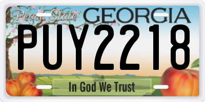 GA license plate PUY2218