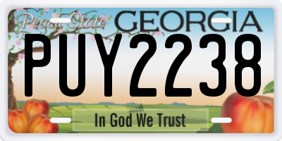 GA license plate PUY2238