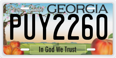 GA license plate PUY2260