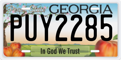 GA license plate PUY2285