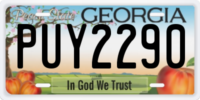 GA license plate PUY2290