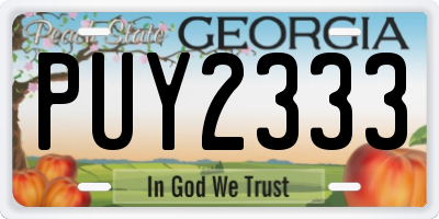 GA license plate PUY2333