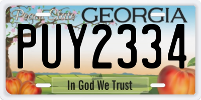GA license plate PUY2334
