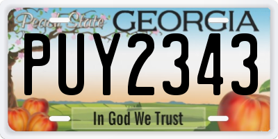 GA license plate PUY2343