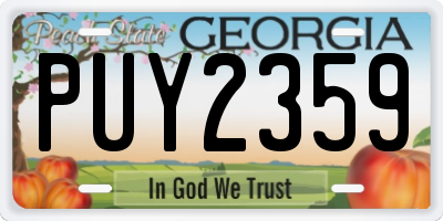 GA license plate PUY2359